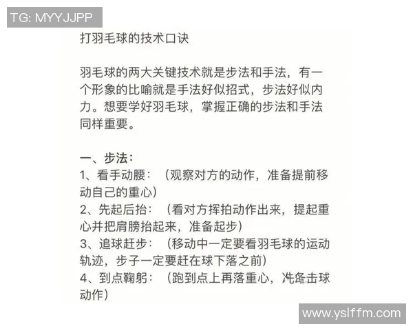 从零基础到高手之路羽毛球技术全面提升指南