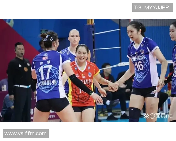 排球热点:解读上海排球队的区域防守